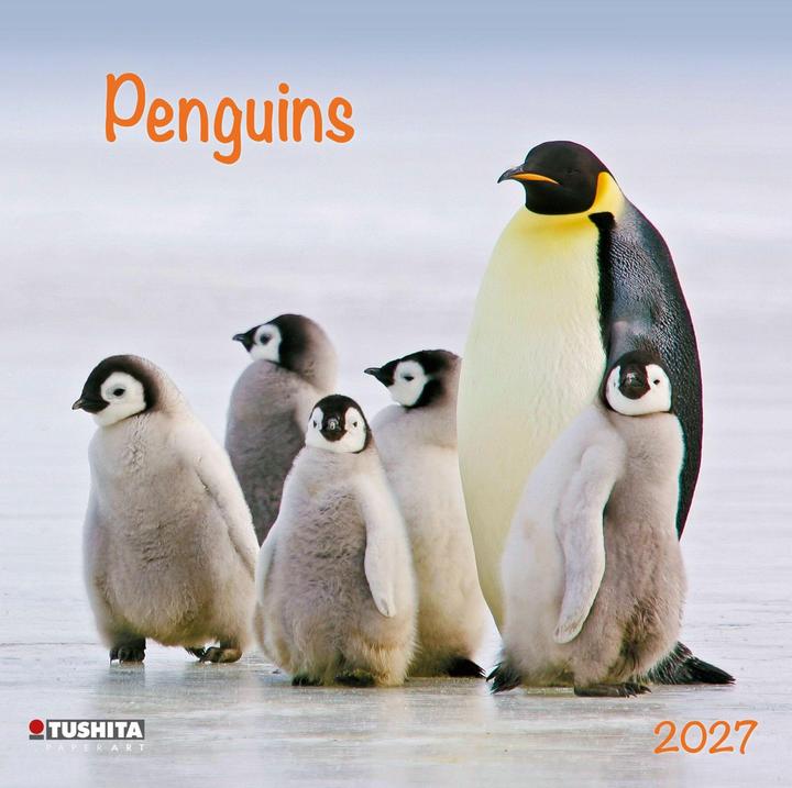 Produktbild Penguins 2027