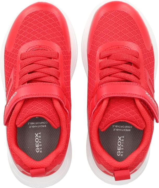 Actual product image Geox Sneaker (34)