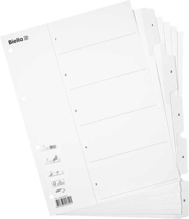 Actual product image Biella Register cardboard A4 1-5, 4hole