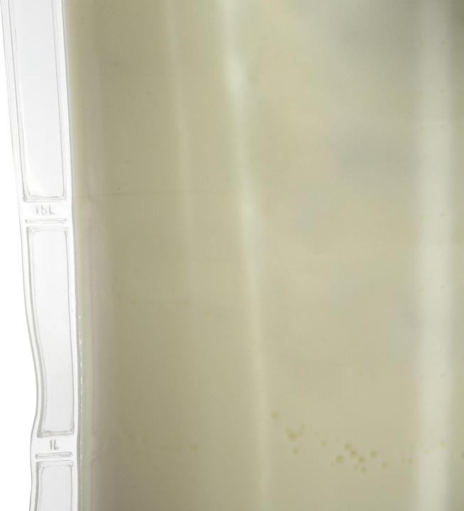 Produktbild Kerbl Drench Bag