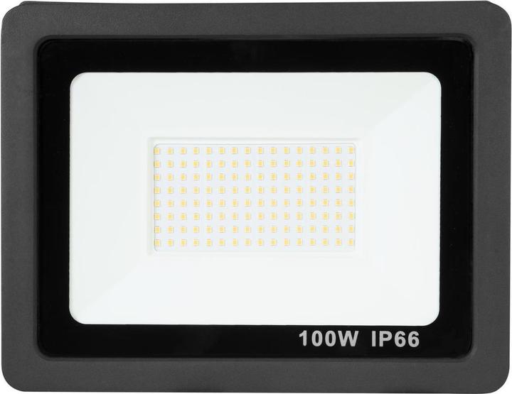 Actual product image Eurolite LED IP FL-100 SMD CW (IP66)