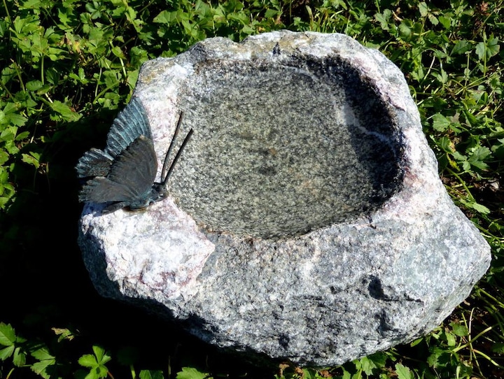 Neogard Vogeltränke