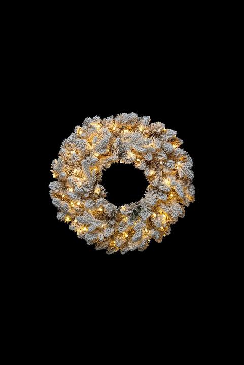 Image du produit STT Snowy Wreath