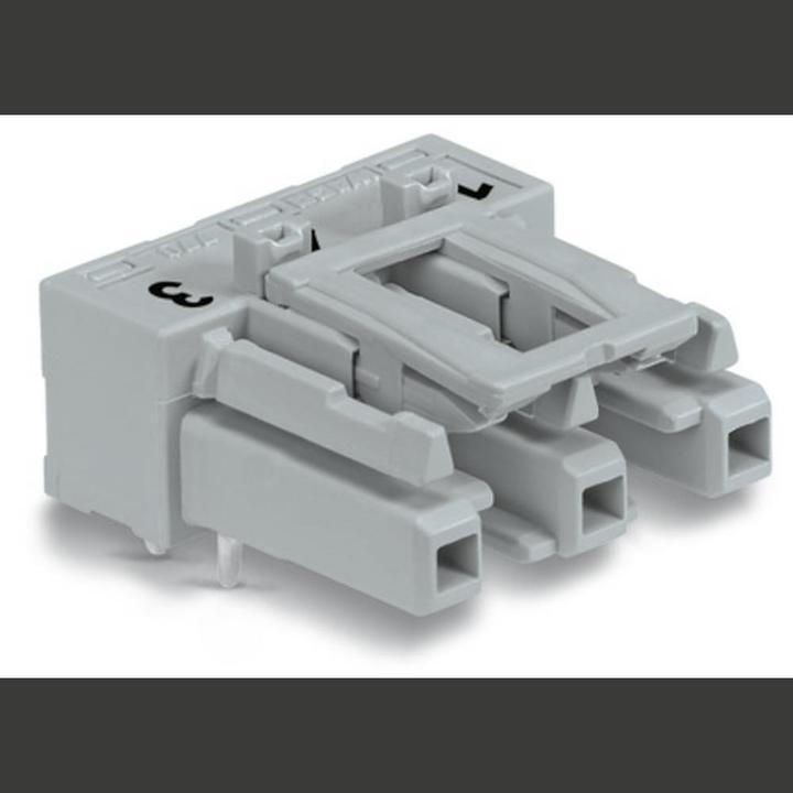 Actual product image Wago Mains connector WINSTA