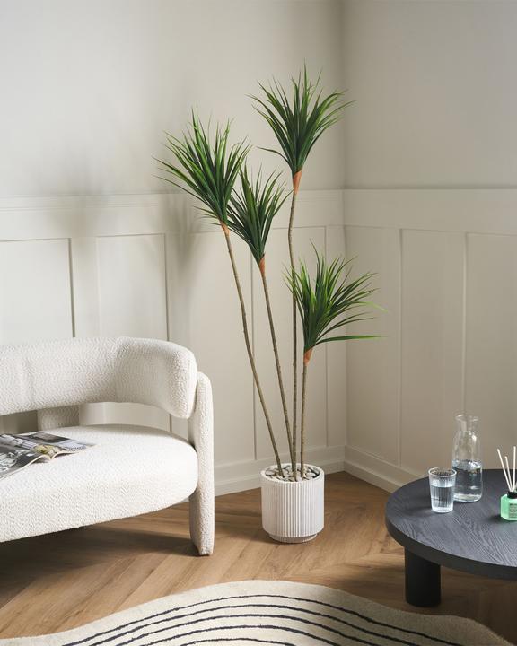 Produktbild Beliani Dracaena Draco (165 cm)