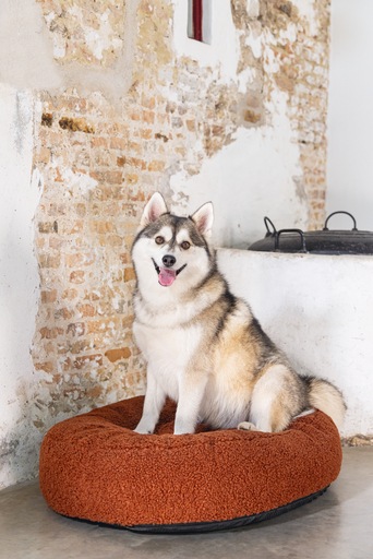 Productafbeelding Designed by Lotte Geribbeld (Hond)