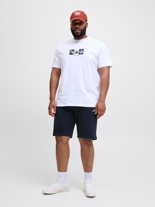 Produktbild Jack & Jones Plus Size Regular Fit Regular Fit Shorts Regular Fit Shorts