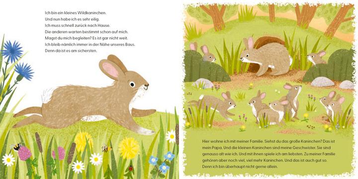 Produktbild Kennst du mich? Ich bin ein Kaninchen! (Deutsch, Andrea Weller-Essers, 2024)