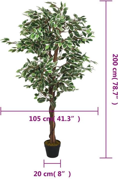 Image du produit vidaXL Giulia (200 cm)