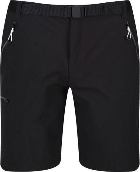 Actual product image Regatta Mens Xert III Stretch Shorts (44)