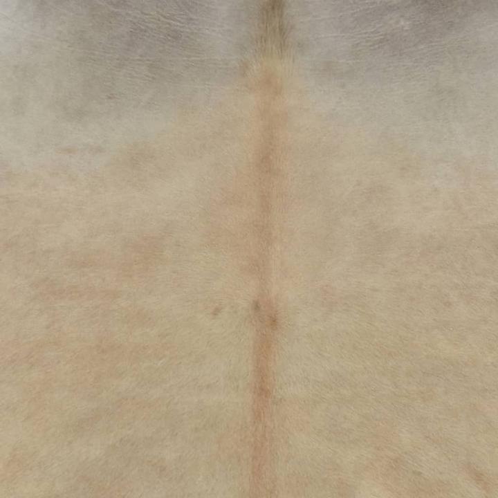 Actual product image