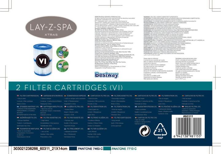 Actual product image Bestway Filter cartridge VI