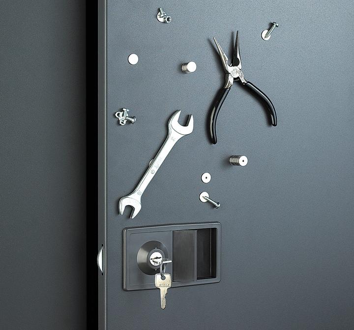 Actual product image Infactory Ring magnet (20 x)