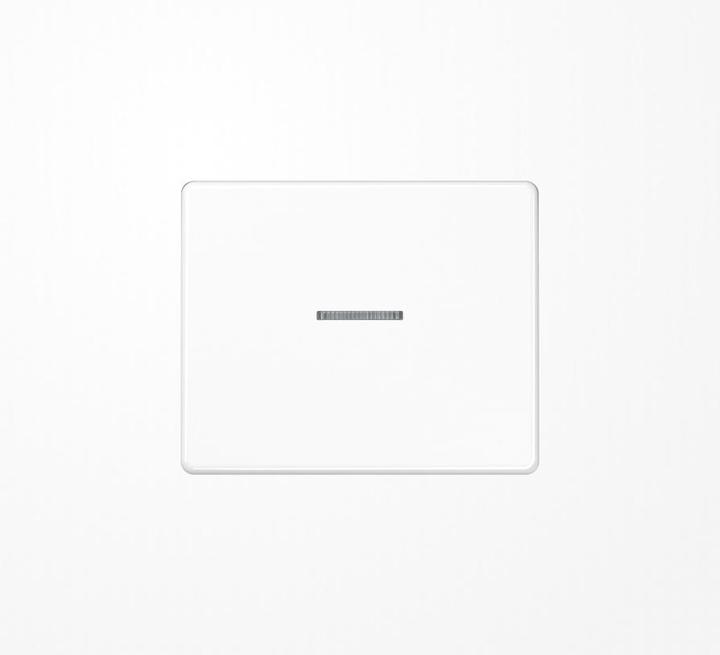 Actual product image JUNG Control rocker switch SL aws glz SL590KO5WW