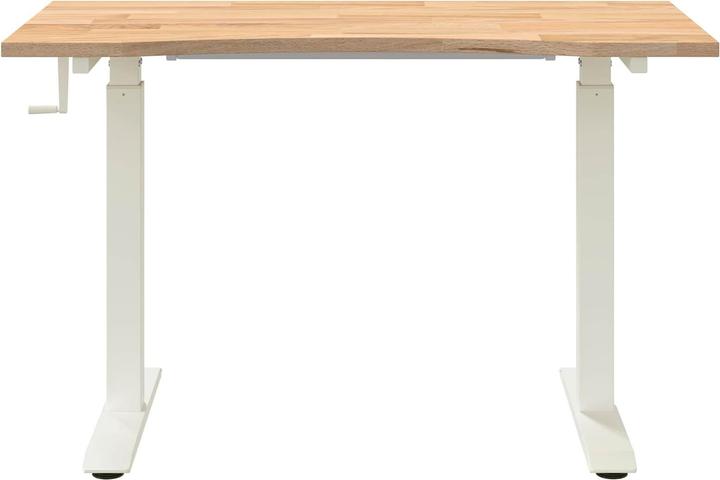 Image du produit vidaXL Verstellbarer Schreibtisch (60 x 120 x 115.50 cm)