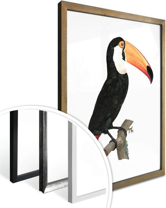 Produktbild Trenddeko Tukan auf einem Ast (30 x 40 cm)