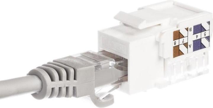 Produktbild Netrack 105-02 Keystone-Modul (Keystone Modul)