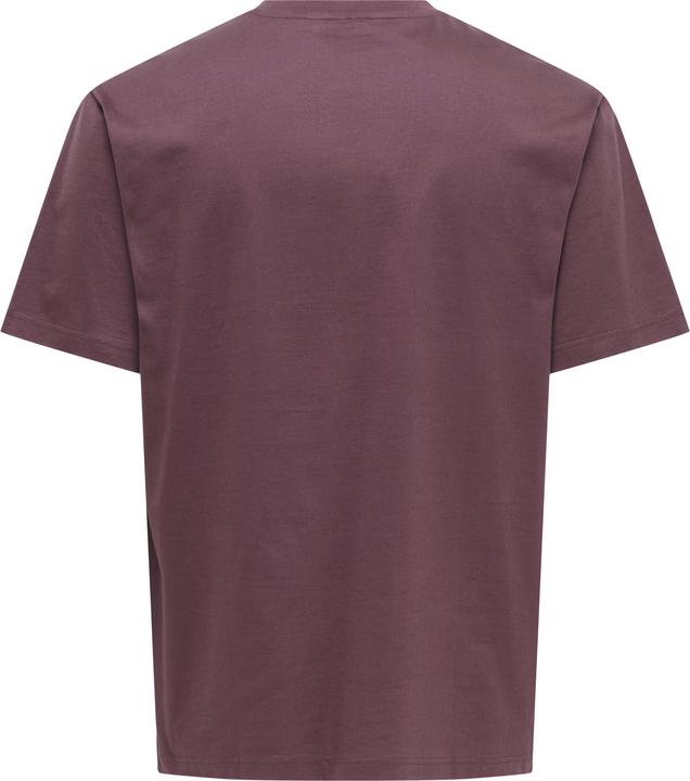 Produktbild Only & Sons Onsfred Life Rlx Ss Tee Noos (S)