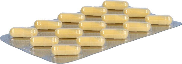 Image du produit Salus Complexe de vitamines B caps (60 pièce(s), Capsules, 52 g)