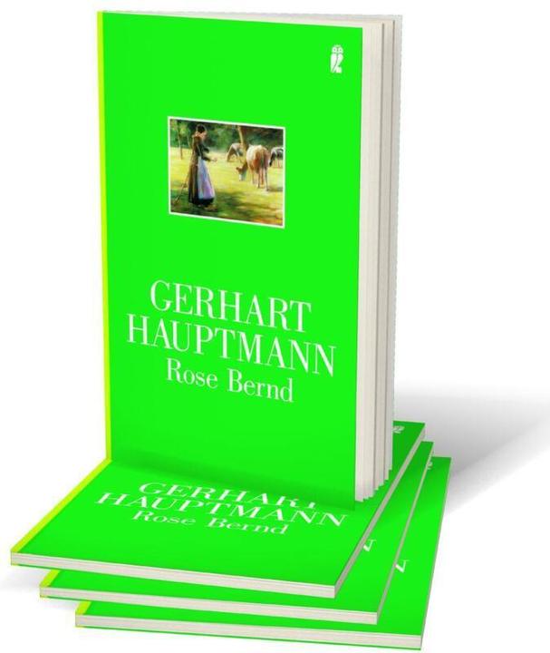 Image du produit Rose Bernd (Allemand, Capitaine Gerhart, 1996)
