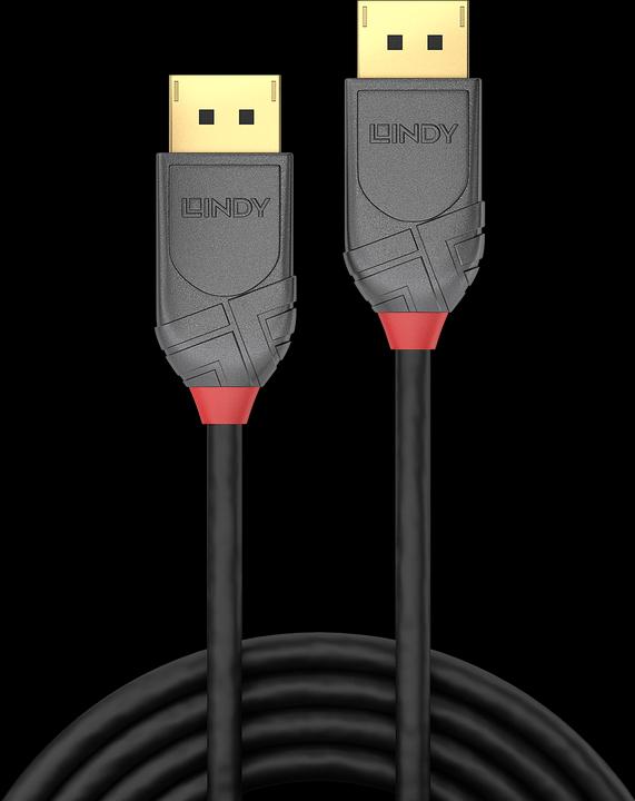 Productafbeelding Lindy DisplayPort - DisplayPort (1 m, DisplayPort)