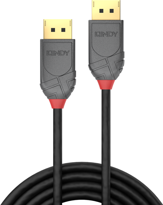 Image du produit Lindy DisplayPort — DisplayPort (1 m, DisplayPort)