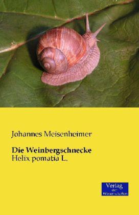 Produktbild Die Weinbergschnecke (Deutsch, Johannes Meisenheimer, 2014)