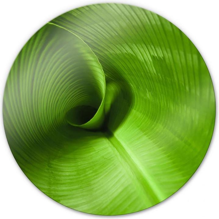 Image du produit Trenddeko Feuille de bananier - ronde (Ø 50 cm)