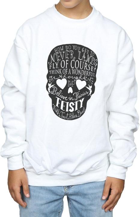 Produktbild Disney Tinker Bell Skull Sweatshirt Jungen (152, 158)