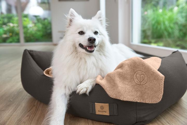 Produktbild Palopa Mathilda (Hund)