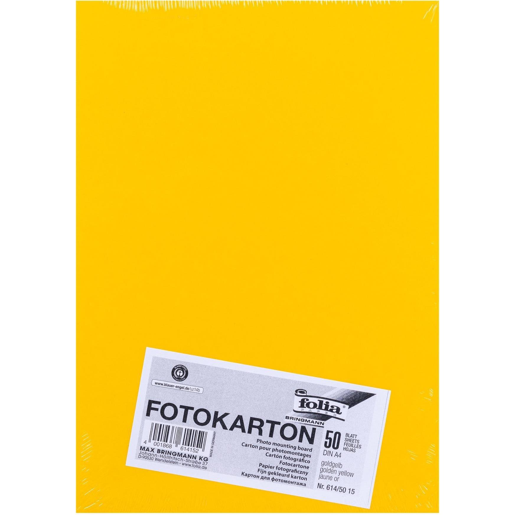 Folia, Bastelpapier, Fotokarton farbig Format A4 (300 g/m², 1 x)