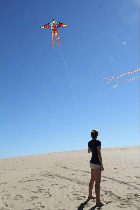 Actual product image Invento Dragon Tropical Bird