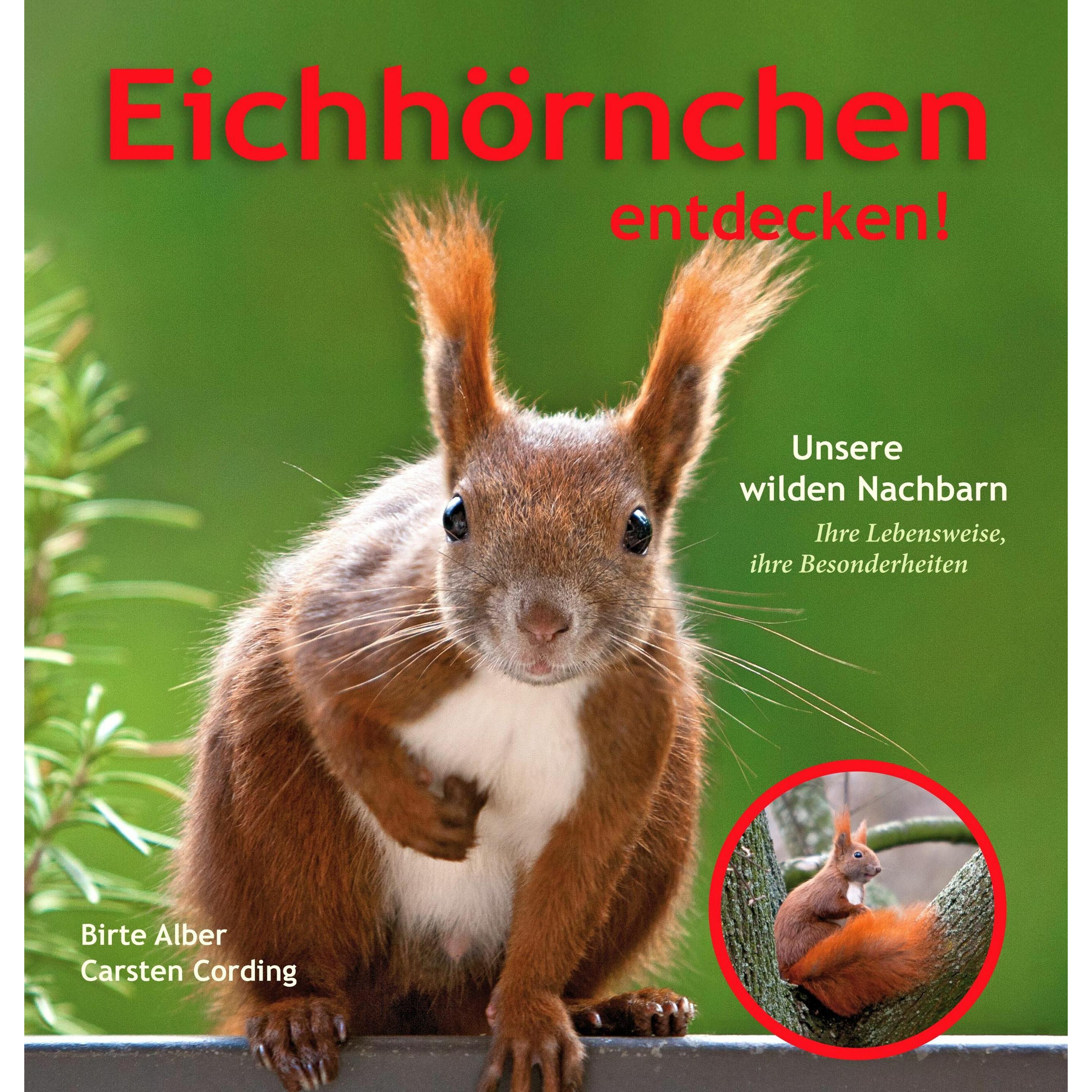 Eichhörnchen entdecken!, Ratgeber von Birte, Dr. Cording Alber