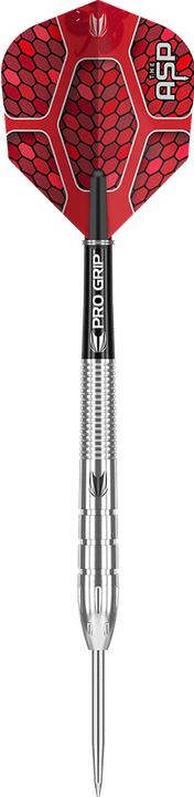 Target Freccette in acciaio Nathan Aspinall Gen 1 (26 g)