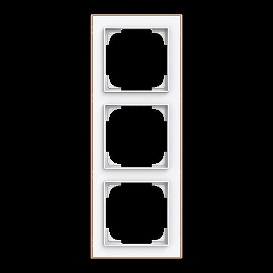 Actual product image Busch-Jaeger Frame 3-fold