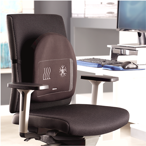 Actual product image Fellowes Back support Professonal Series