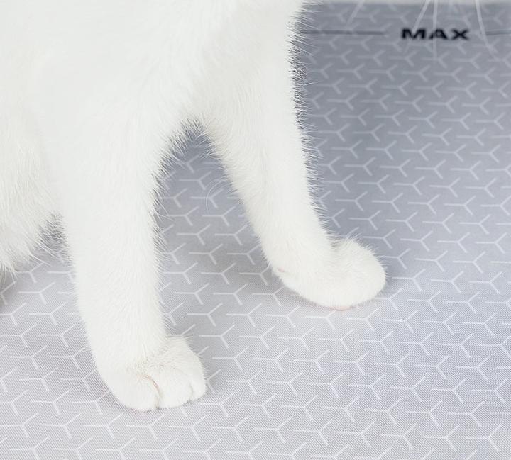 Image du produit Petkit Tapis de cylindres
