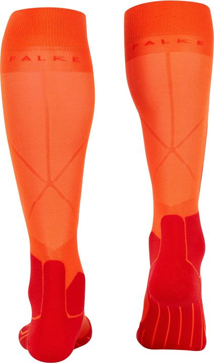 Actual product image Falke SK5 Women (39 - 40)