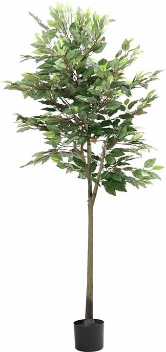 Actual product image vidaXL künstlicher Ficusbaum (170 cm)