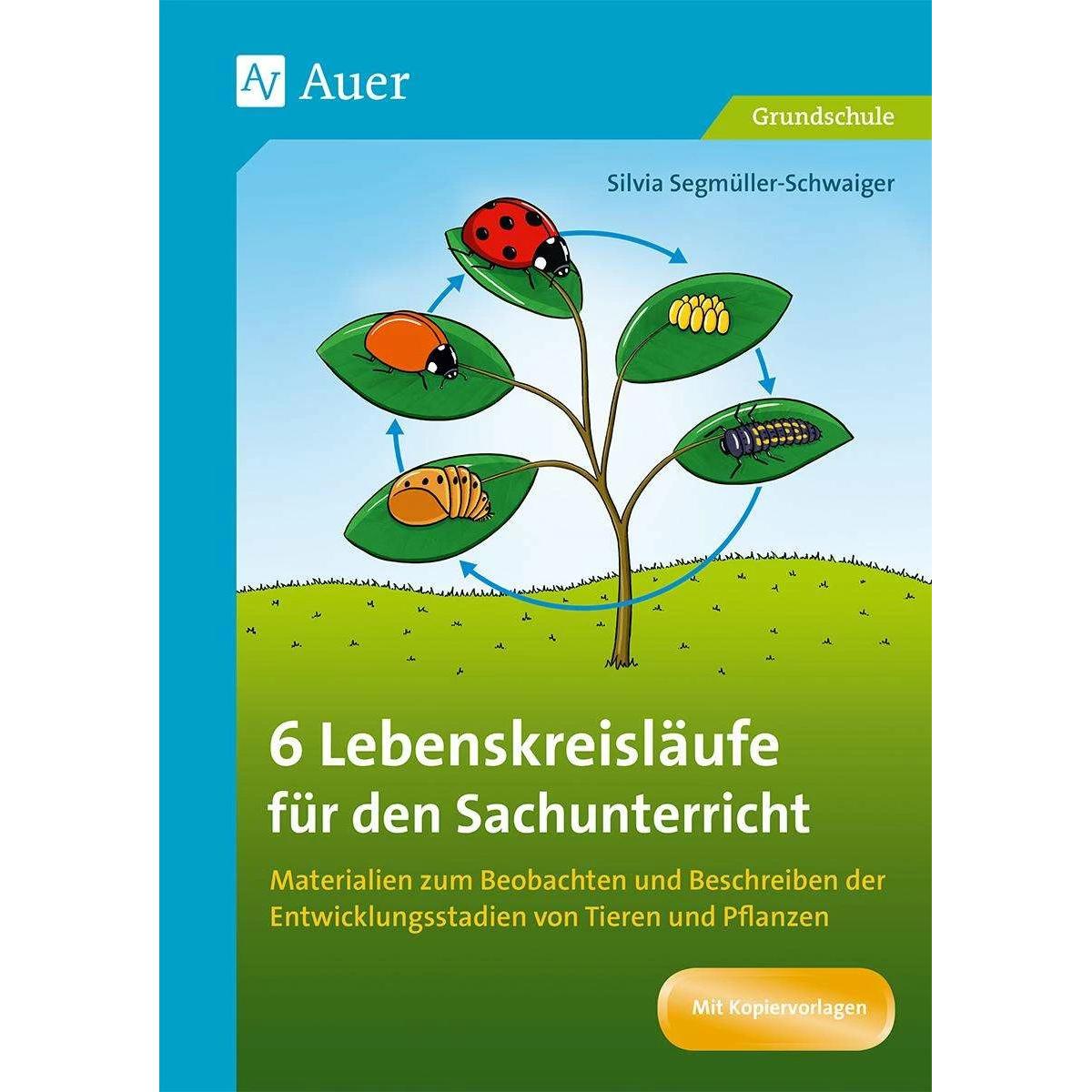 Silvia Segmüller-Schwaiger, Schulbücher von Silvia Segmüller-Schwaiger