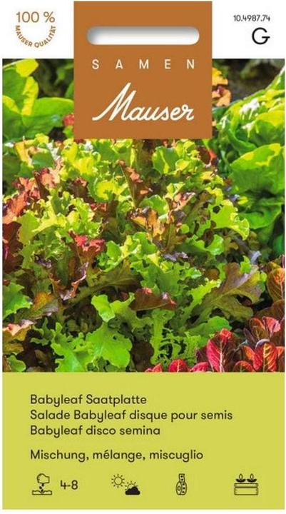Produktbild Samen Mauser Babyleaf Mischung (Gemüsesamen)