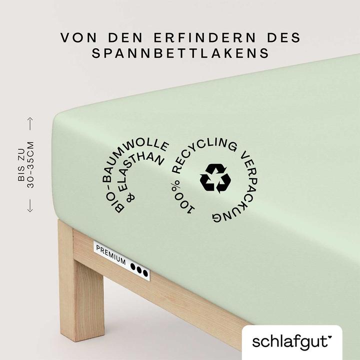 Produktbild schlafgut Premium (120 x 200 - 130 x 220 cm)