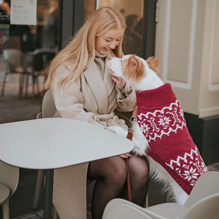 Immagine prodotto Hunter Birka (30, Maglione per cani)