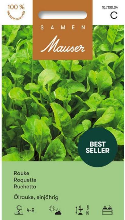 Produktbild Samen Mauser Rauke Ölrauke (Kräutersamen)