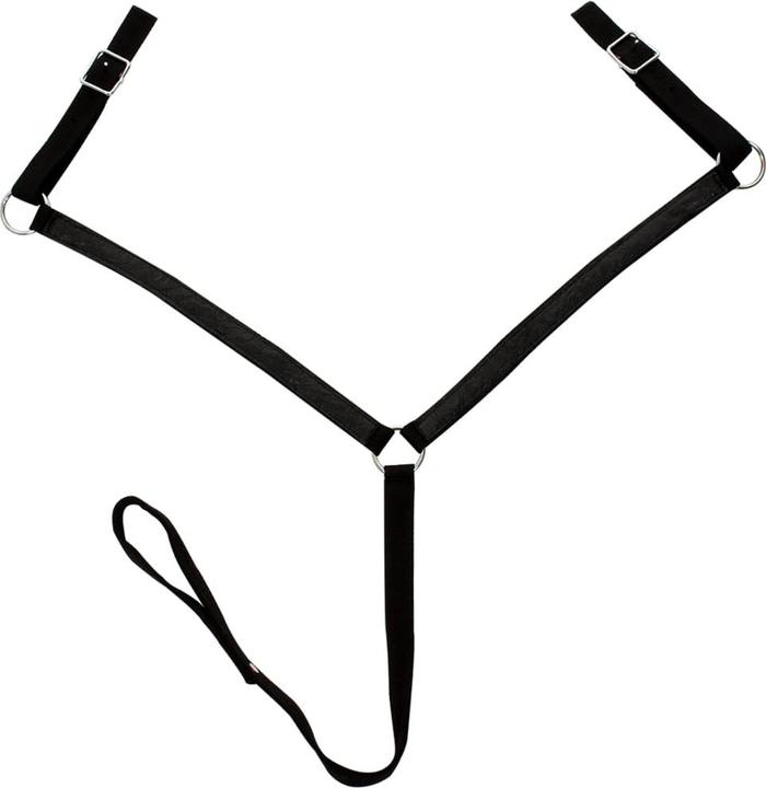 Produktbild vidaXL Dragica