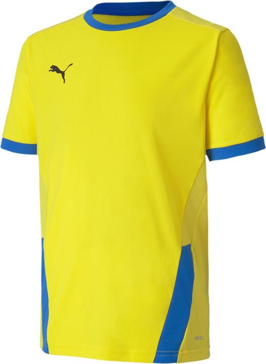Actual product image Puma teamGOAL 23 Jersey jr-704160 (128)