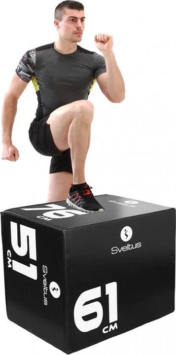 Image du produit Sveltus Plyobox 2 in 4