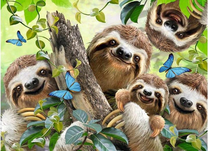 Actual product image Ravensburger Sloth selfie (500 pieces)