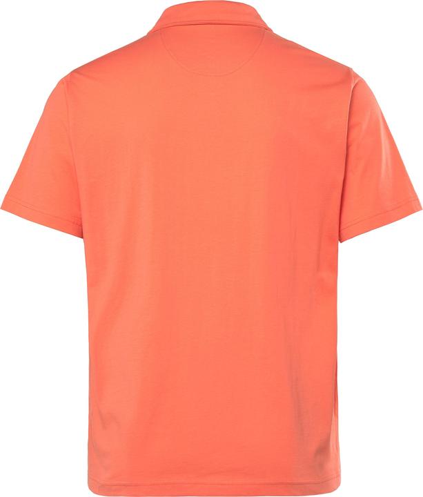 Actual product image Men+ Poloshirt, Halbarm, Print (7XL)