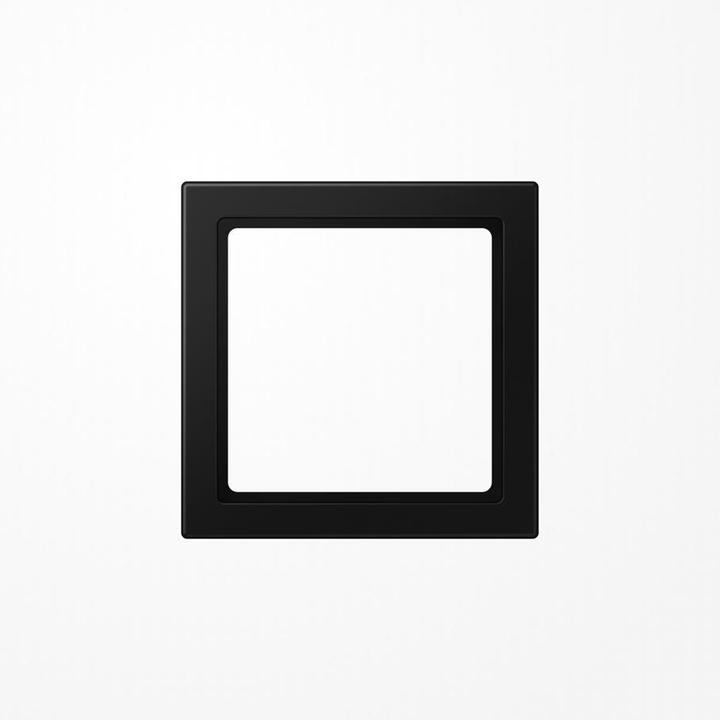 Actual product image JUNG Intermediate frame